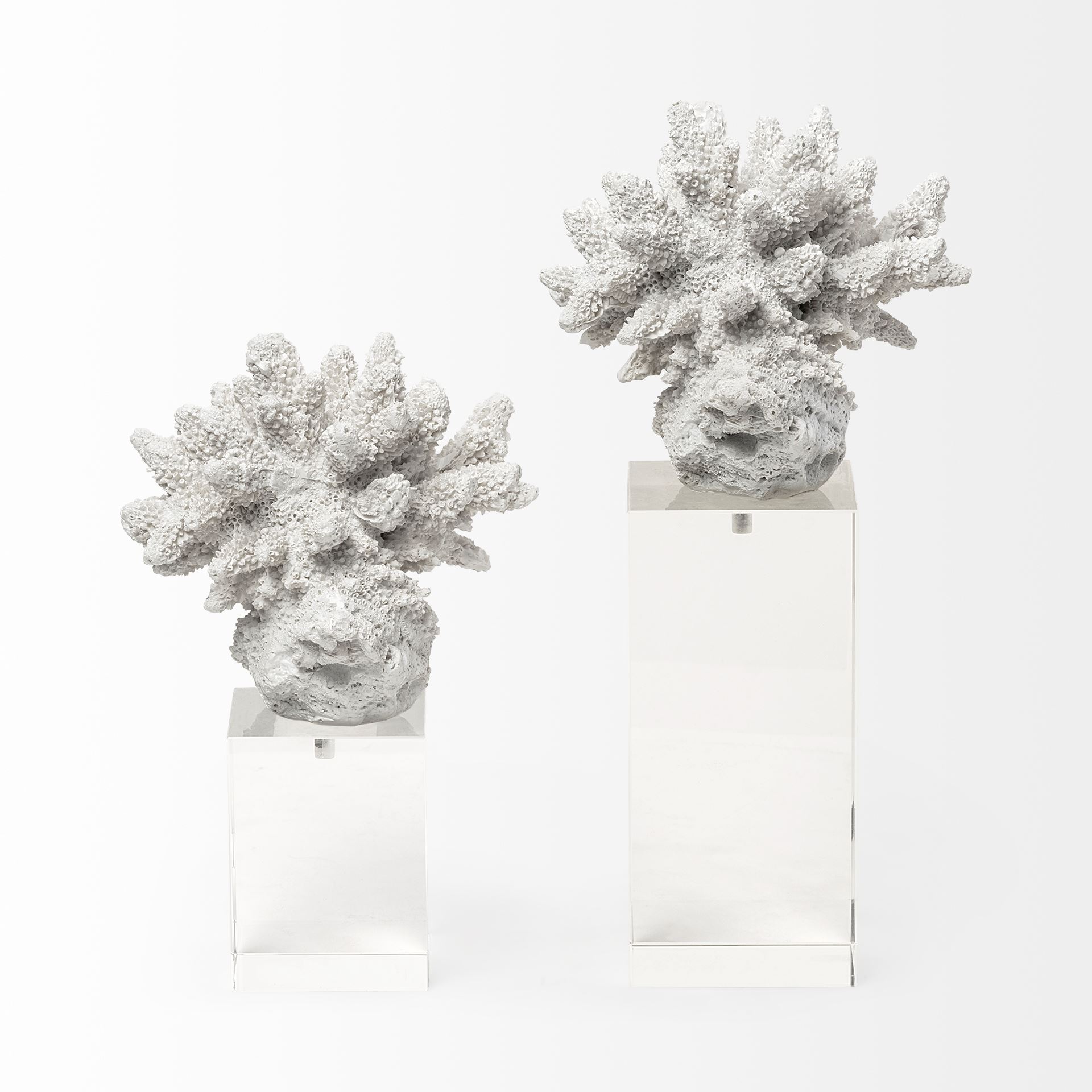 Isla (Large) 5L x 5W White Replica Resin Coral On Clear White Glass, Decorative Object by Mercana, 4.72" length x 4.72" width x 10.43" height View 6