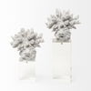 Isla (Large) 5L x 5W White Replica Resin Coral On Clear White Glass, Decorative Object by Mercana, 4.72" length x 4.72" width x 10.43" height thumbnail 6