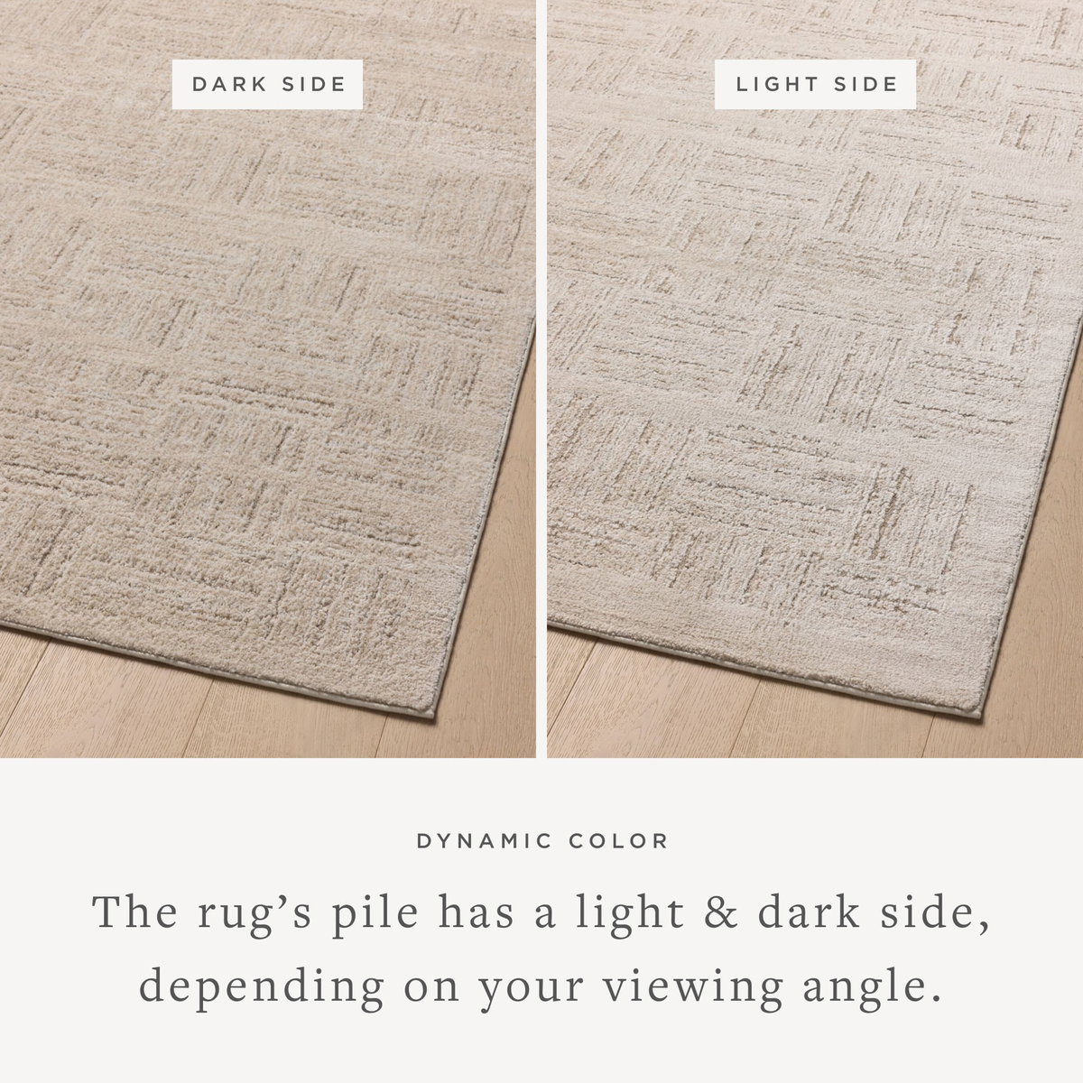 Amber Lewis x Loloi Monty Rug, 4' length x 6' width View 3