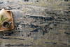 Loloi Elixir Rug, 5'6" length x 8'6" width thumbnail 3