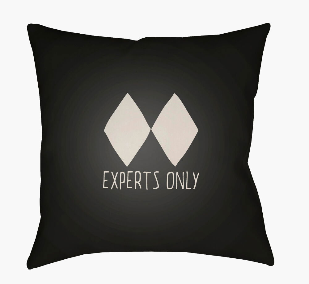 Black Diamond Accent Pillow large image 
