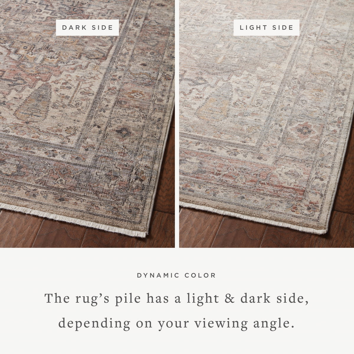 Loloi Lyra Rug, 2'7" length x 8' width View 2