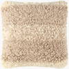 Lucas Accent Pillow, Decorative Pillow by Surya, 20" length x 20" width thumbnail