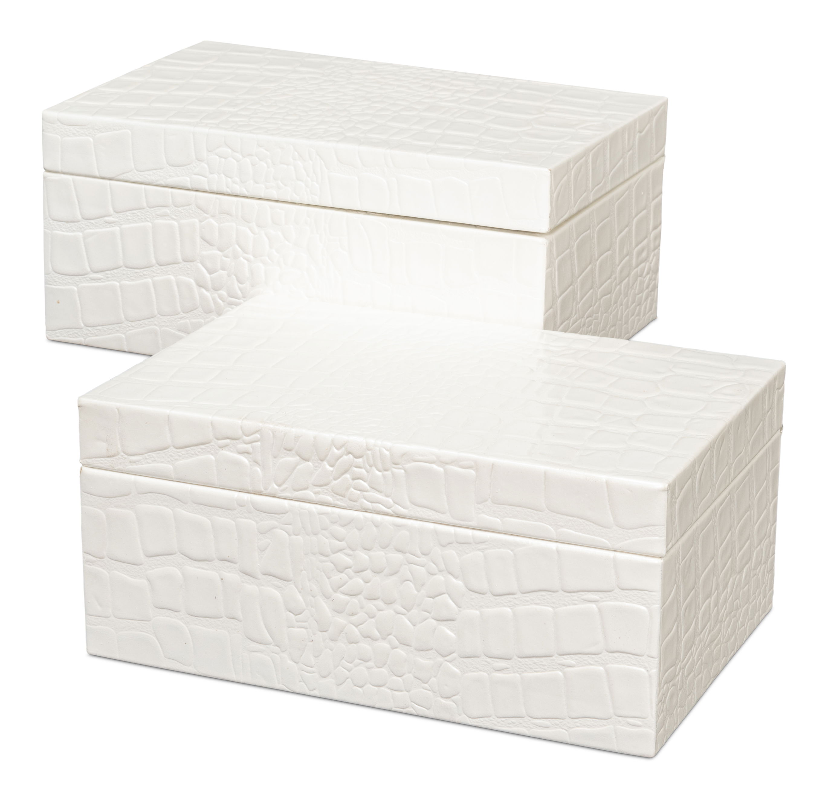 Candece Leather Box  Pearl  S/2 large image 