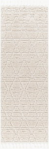 Azilal Machine Woven Rug, by Surya, 7'2.61" length x 2'7.5" width thumbnail
