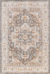 Basel Machine Woven Rug, by Surya, 1'2.96" length x 1'2.96" width thumbnail