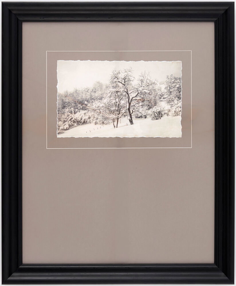 Coconino Framed Art, Painting by Surya, 19" width x 23" height
