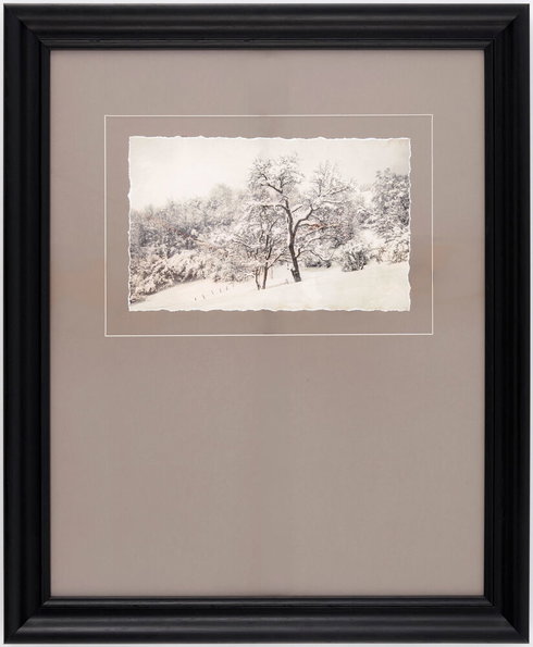 Coconino Framed Art