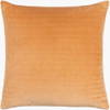 Digby Accent Pillow Poly, Decorative Pillow by Surya, 22" length x 22" width thumbnail