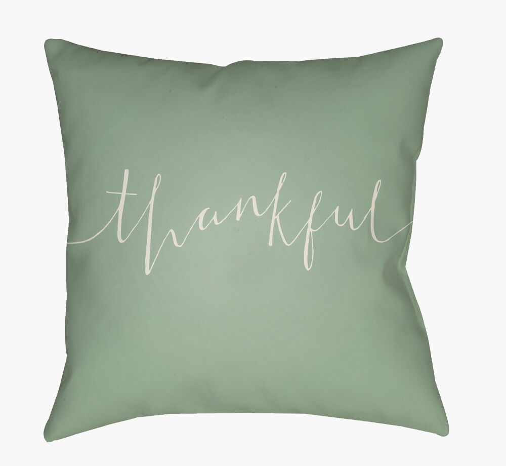 Thankful Accent Pillow, Decorative Pillow by Surya, 20" length x 20" width