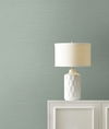 Maguey Sisal Blue Wallpaper thumbnail 1