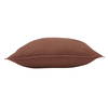 Roselyn Indoor Pillow, Decorative Pillow by Renwil, 22" height thumbnail 2