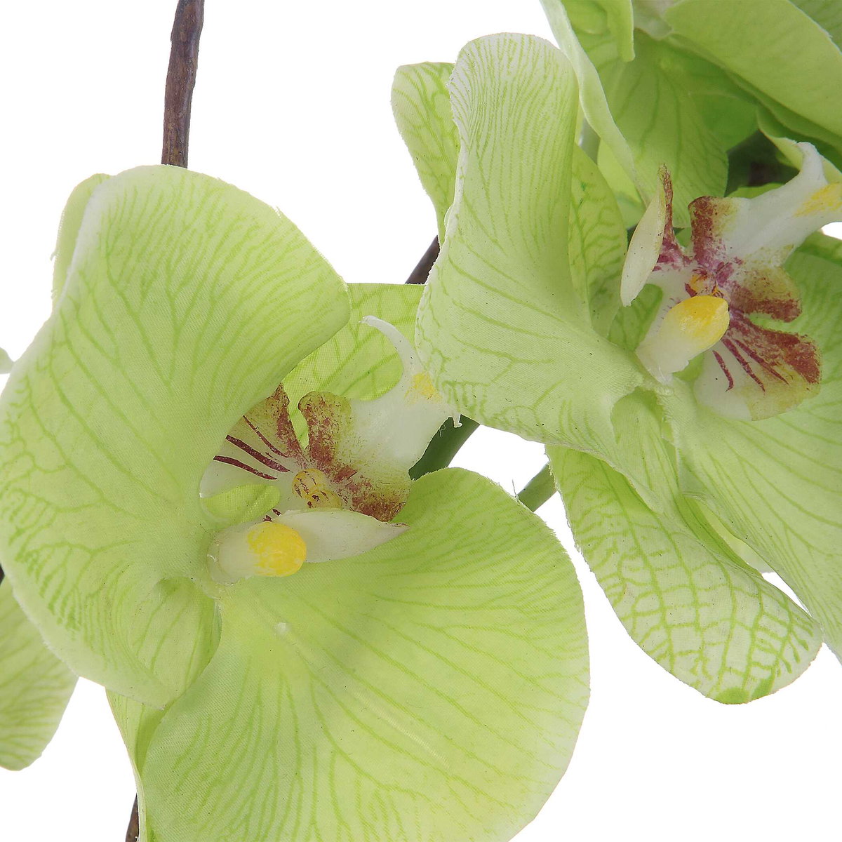 Valdive Orchid, Artificial Plants & Flower by Uttermost, 21" width x 38" height x 21" depth View 4