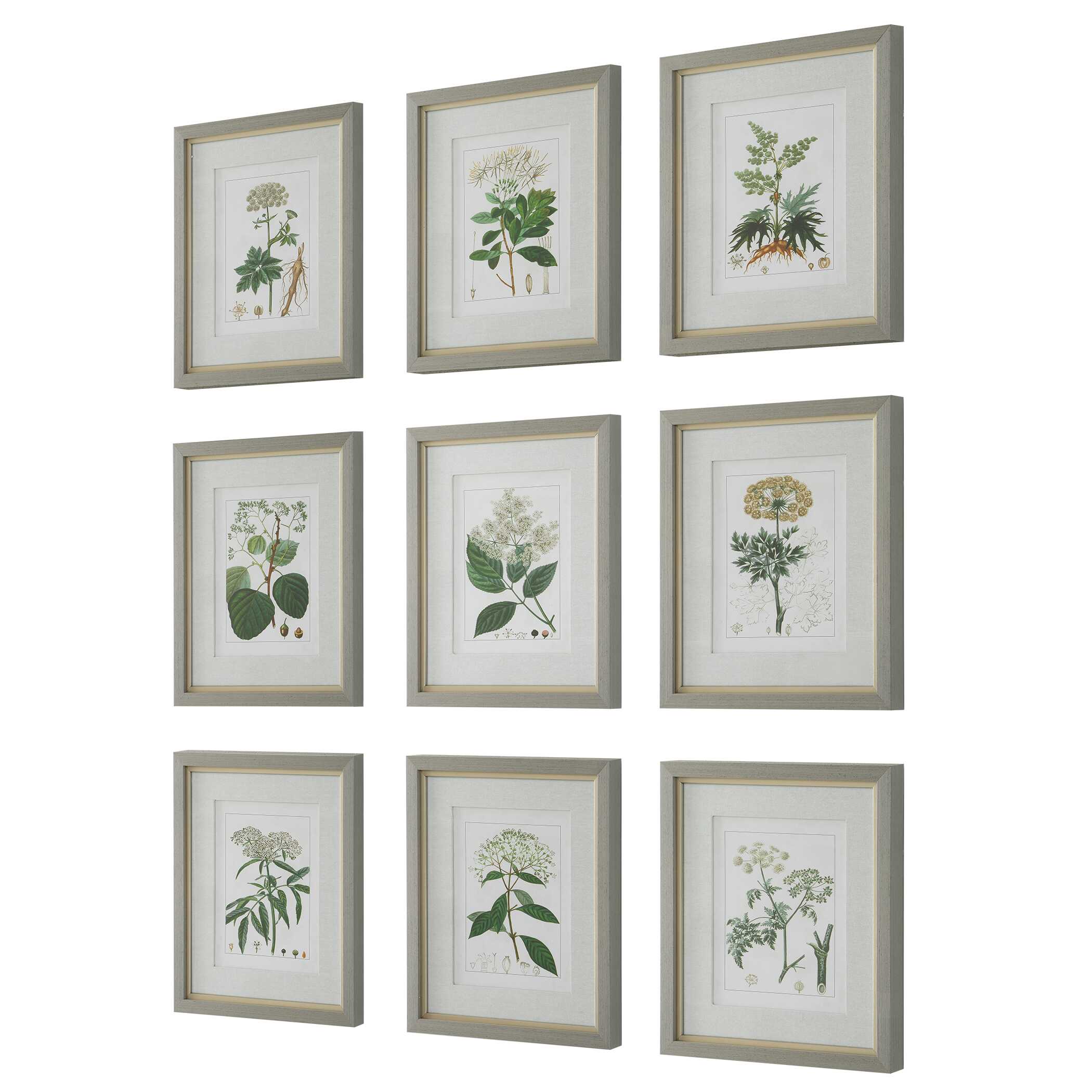 Antique Botanicals Framed Prints Set/9 large image 