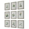 Antique Botanicals Framed Prints Set/9 thumbnail 6