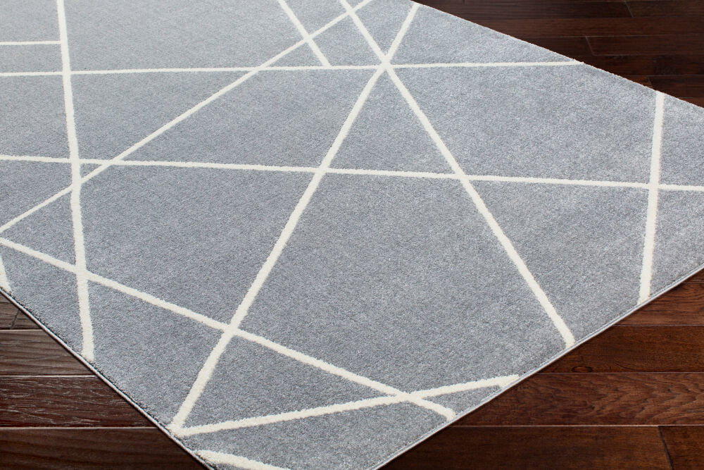 Horizon Machine Woven Rug, by Surya, 7'3" length x 2'7" width
