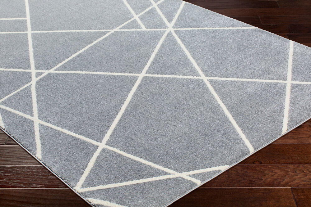 Horizon Machine Woven Rug, by Surya, 7'3" length x 7'2.61" width