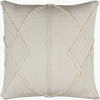Dortmund Accent Pillow, Decorative Pillow by Surya, 18" length x 18" width thumbnail