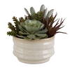 Mesa Succulent Accent, Artificial Plants & Flower by Uttermost, 9.5" width x 8.5" height x 9.5" depth thumbnail 1