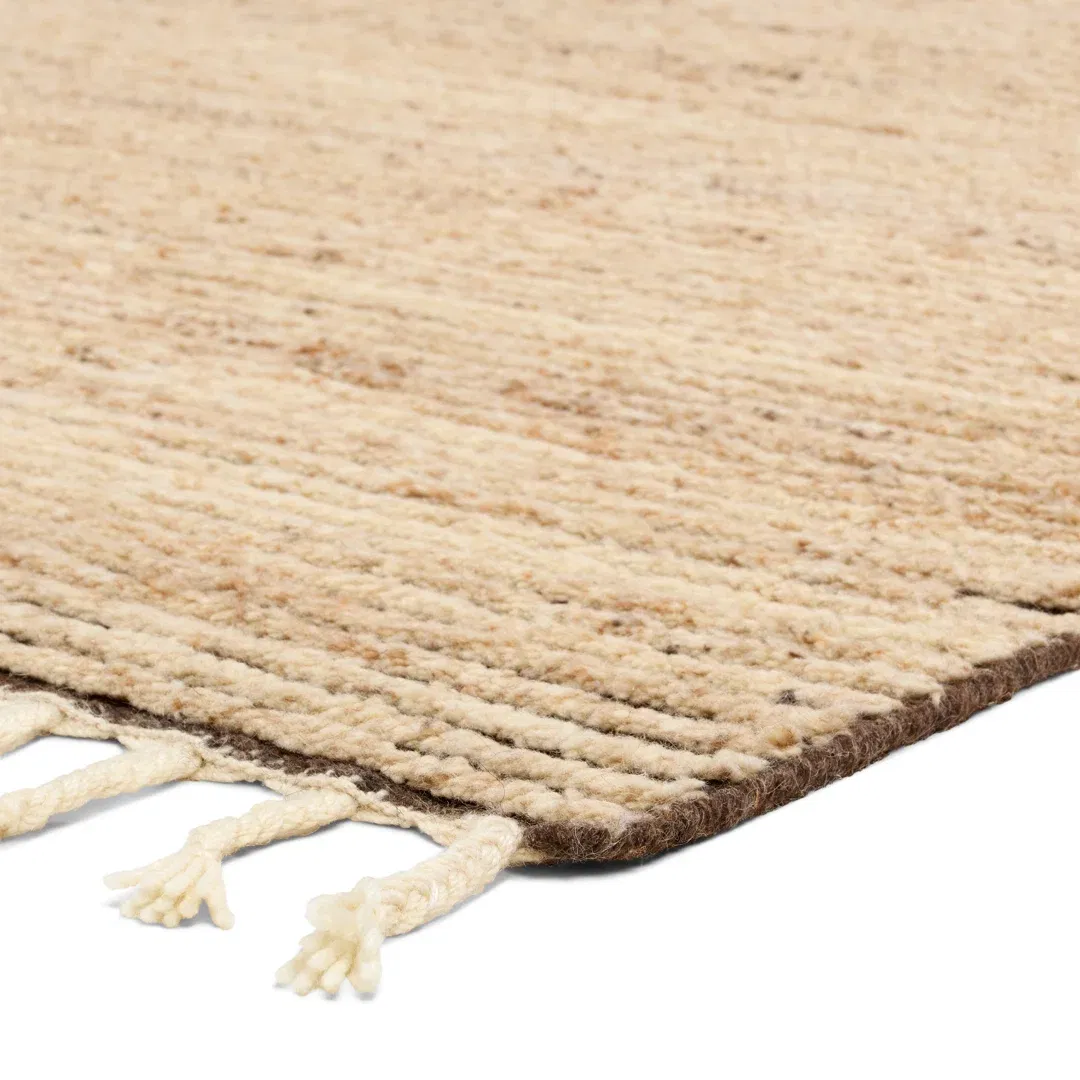Jaipur Living Alpine ALP06 Handknotted Solid Tan and Brown Area Rug (9'x12') large image 