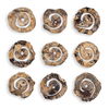 Corkscrew Wood Wall Decor Set/9 thumbnail 0