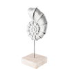 Cockle 5L x 4W White Coastal Iron Sea Shell thumbnail 0