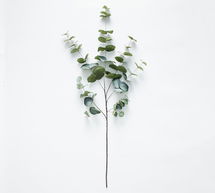 Online Designer Bathroom Faux Baby Blue Eucalyptus Branch, 45"