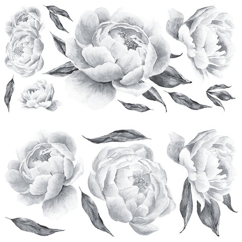 Peonies Giant Wall Decals