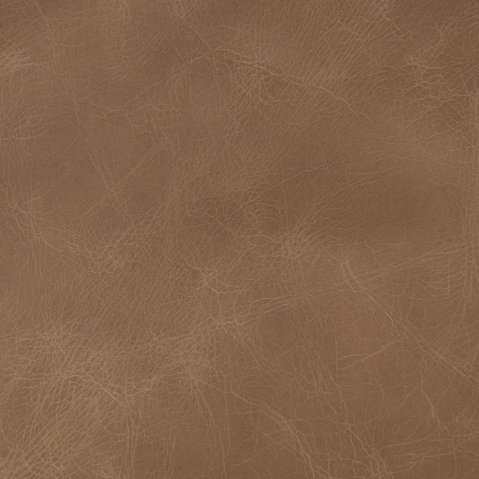 Raeleigh  Cognac Leather with Light Brown Wood Frame Accent Chair, by Mercana, 27.95" length x 34.06" width x 34.45" height View 3