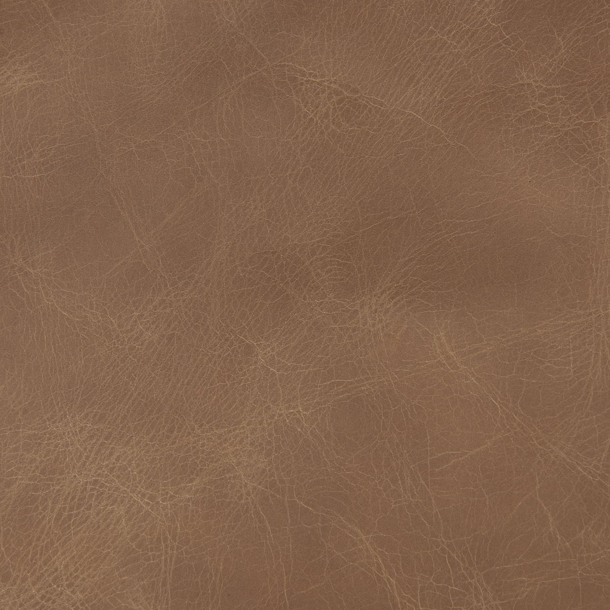 Raeleigh  Cognac Leather with Light Brown Wood Frame Accent Chair, by Mercana, 27.95" length x 34.06" width x 34.45" height View 3