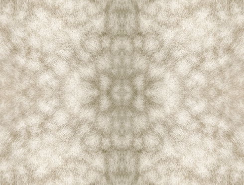 Palomino Tan Peel & Stick Wallpaper
