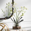 Glory Orchid, Artificial Plants & Flower by Uttermost, 11.25" width x 13" height x 5.25" depth thumbnail 5
