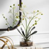 Glory Orchid, Artificial Plants & Flower by Uttermost, 11.25" width x 13" height x 5.25" depth thumbnail 5