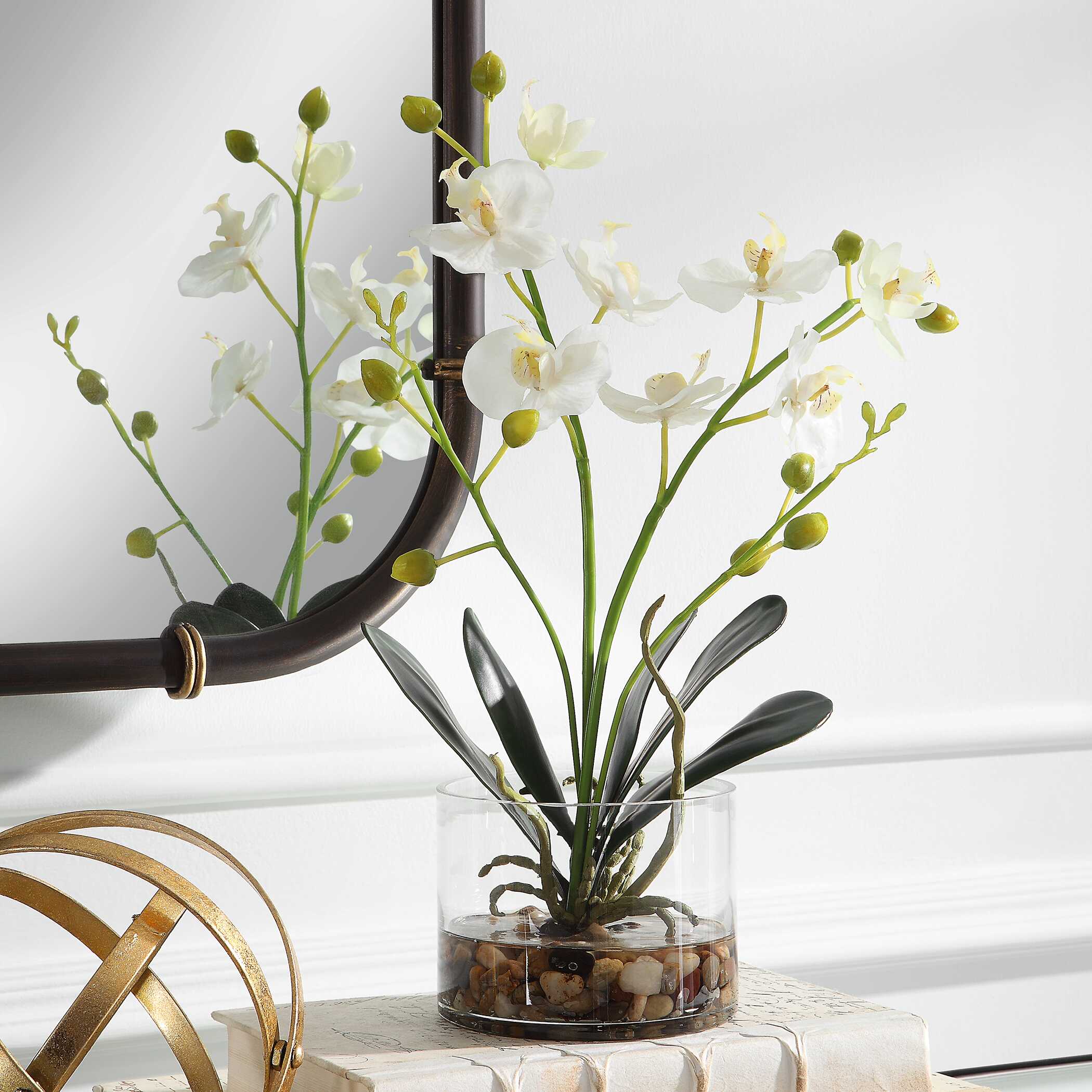 Glory Orchid large image 
