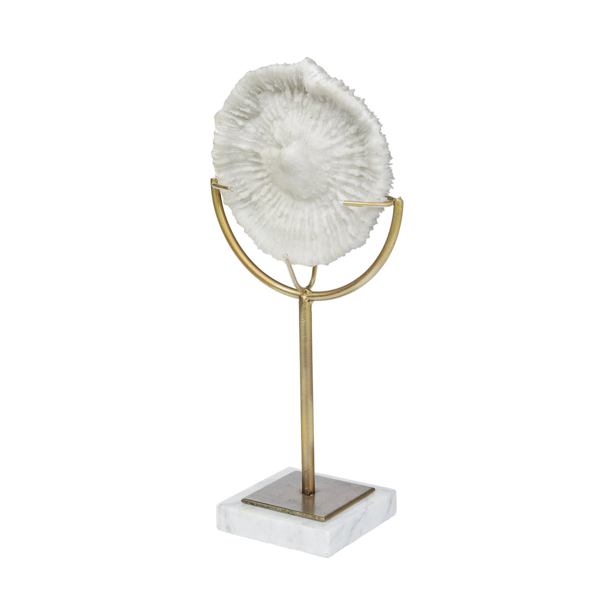 Sandy III (Large) 8L x 4W White Coastal Sand Dollar Object, Decorative Object by Mercana, 8.07" length x 3.94" width x 15.16" height View 1