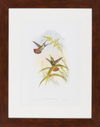 Surya Wall Decor thumbnail 0