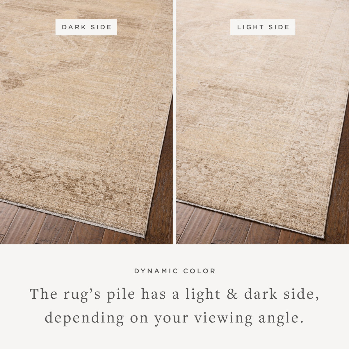 Chris Loves Julia x Loloi Palma Rug, 1'6" length x 1'6" width View 3