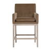 Drake Counter Stool, Dining Chair by Essentials for Living, 24" width x 38.5" height x 24" depth thumbnail 1