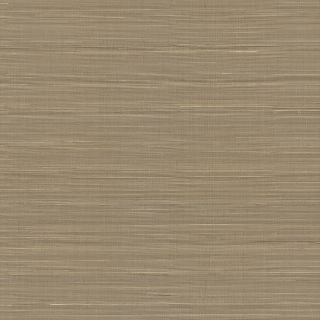 Abaca Weave Sand Wallpaper large image 