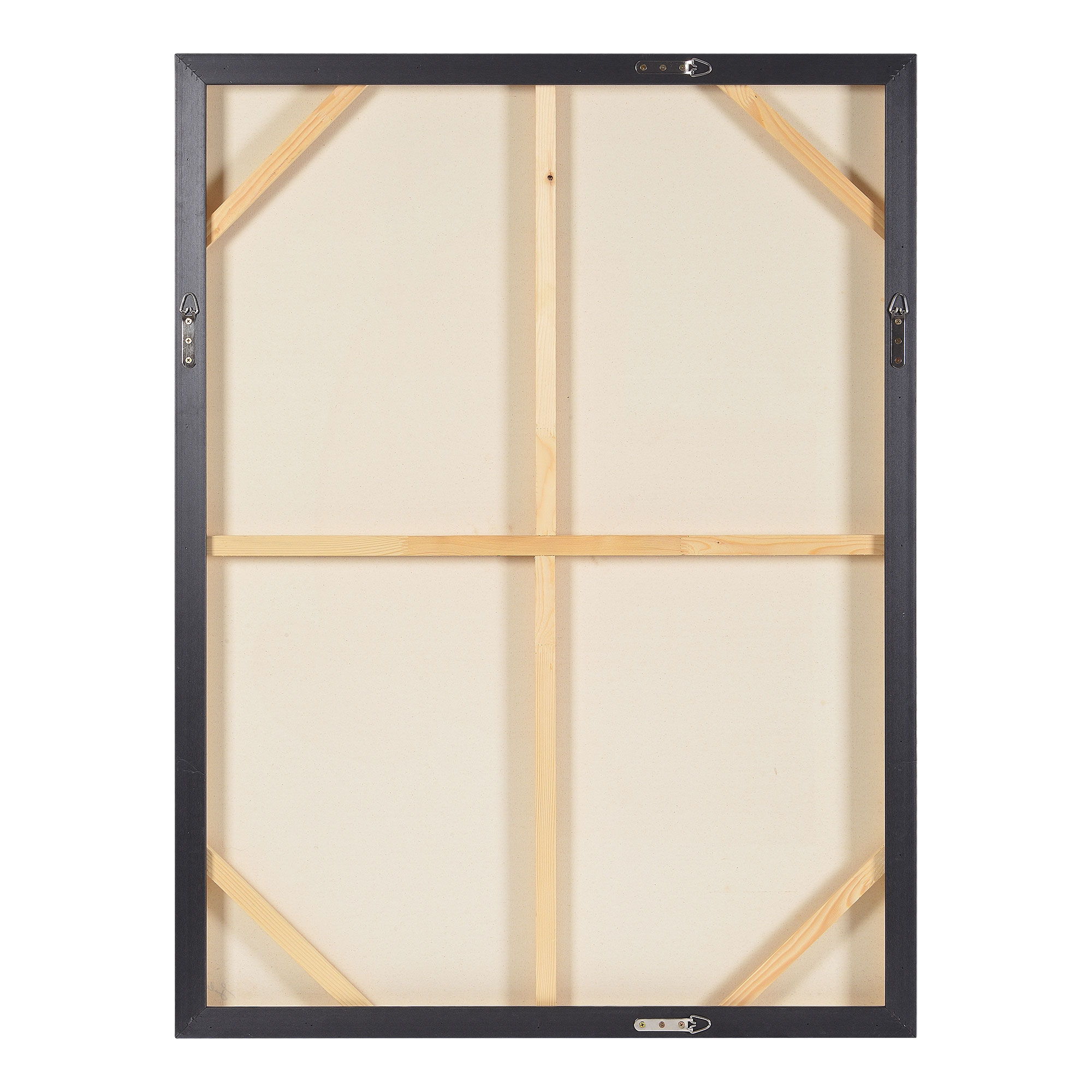 Esmerelda Canvas Art large image 