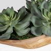 Yuma Succulent Centerpiece, Artificial Plants & Flower by Uttermost, 27" width x 8" height x 11" depth thumbnail 5