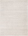 Norwich Machine Woven Rug, by Surya, 10'3" length x 7'10" width thumbnail