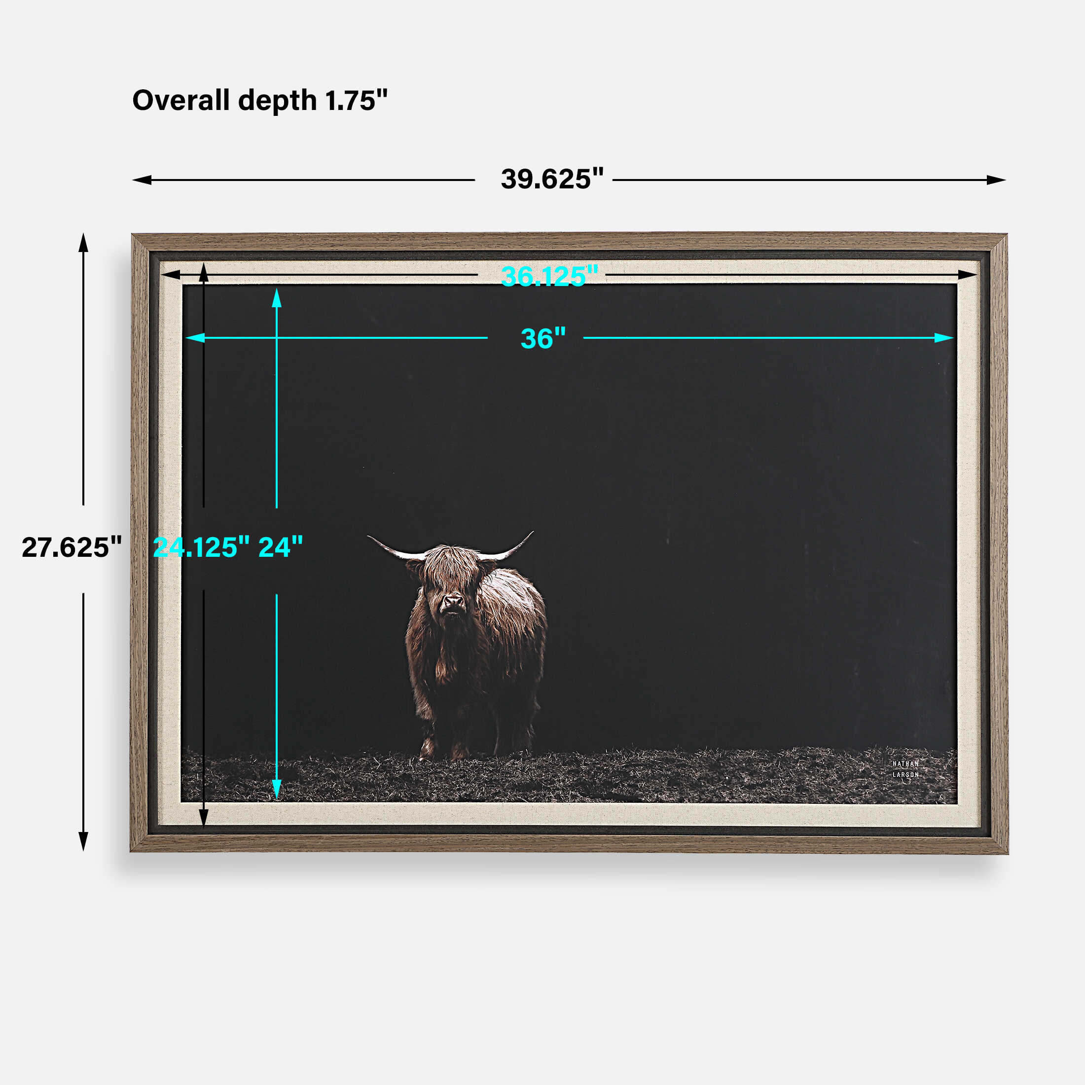 King Of The Hill Framed Bovine Print large image 