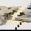 Dwell Cholla Wood Resin Decorative Object thumbnail 7