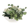 Protea Blooms White Bowl Centerpiece, Artificial Plants & Flower by Uttermost, 24" width x 12" height x 16" depth thumbnail 6