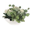 Protea Blooms White Bowl Centerpiece, Decorative by Uttermost, 24" width x 12" height x 16" depth thumbnail 6