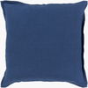 Orianna Accent Pillow, Decorative Pillow by Surya, 18" length x 18" width thumbnail