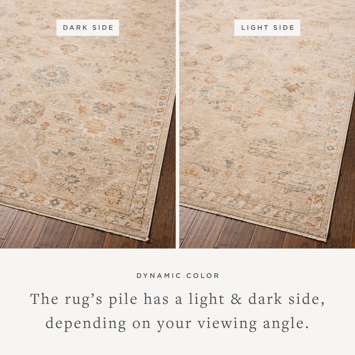 Chris Loves Julia x Loloi Palma Rug, 2'7" length x 7'6" width View 3