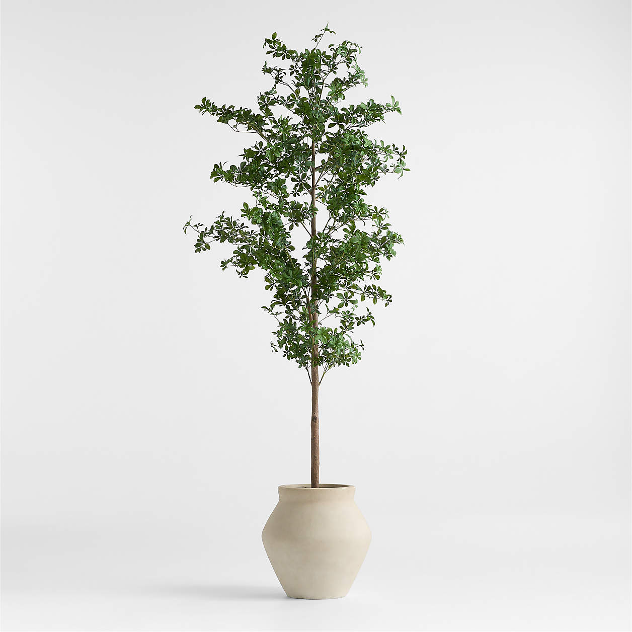 Online Designer Nursery Potted Faux Black Olive Tree 7.5'