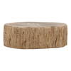 Arik Coffee Table Light Natural, by Dovetail, 32" width x 14.17" height x 41.73" depth thumbnail 1